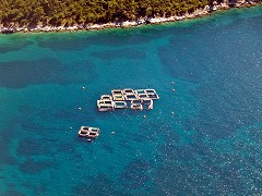 sea farm thassos