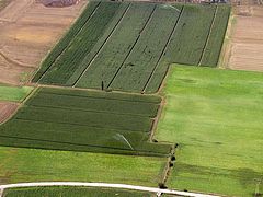 fields-P8162426.jpg