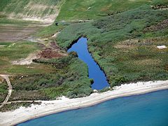 pieria_DSC00640.jpg