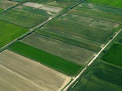 plain-of-chrisoupoli-P7300438.jpg
