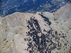 agrafa-P7107144.jpg