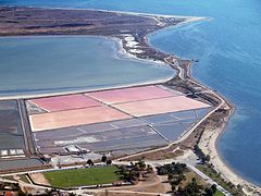 alykes-aggeloxoriou-P8166964.jpg