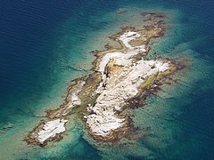 arethousa-iraklitsa-P6224667.jpg