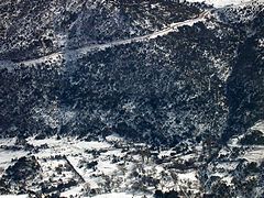 chionia_IMG_1759.jpg