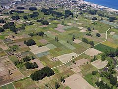 fields-vrasna-P5126470.jpg